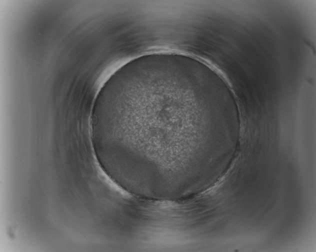 X0000100871239200806271105