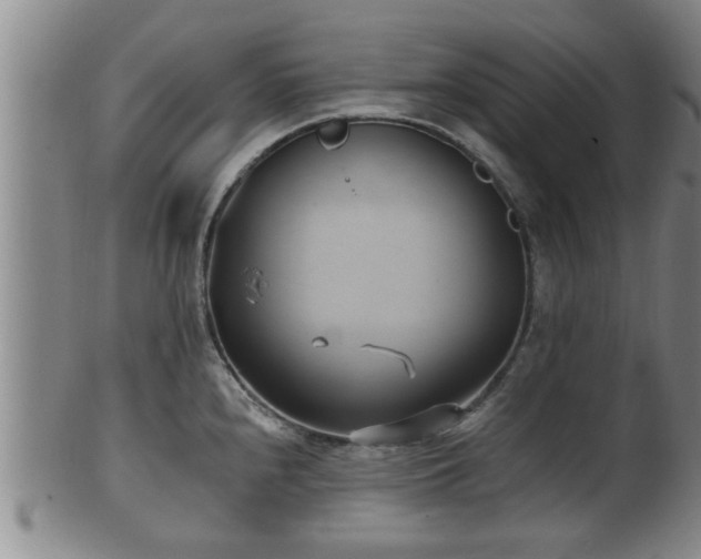 X0000100871240200806271105