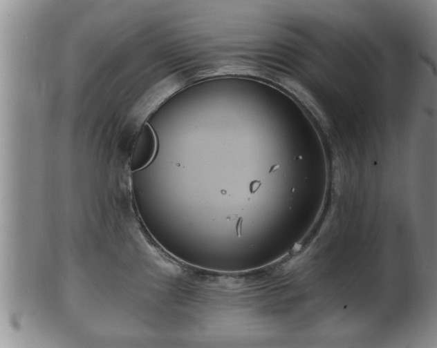 X0000100871241200806271105