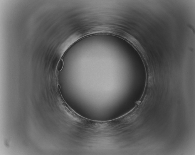 X0000100871242200806271105