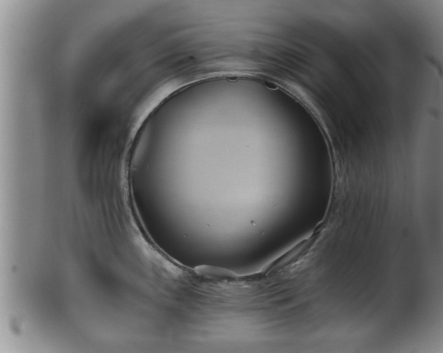 X0000100871243200806271105