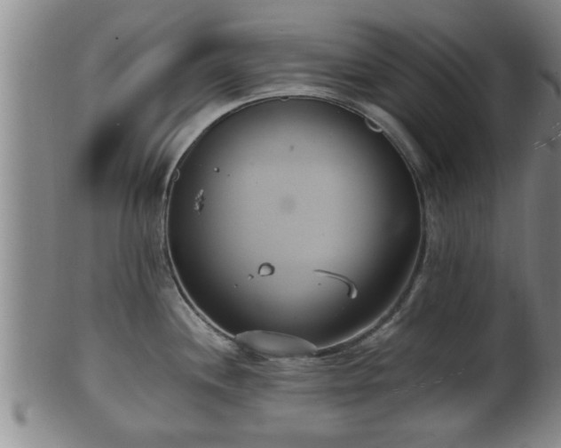 X0000100871244200806271105