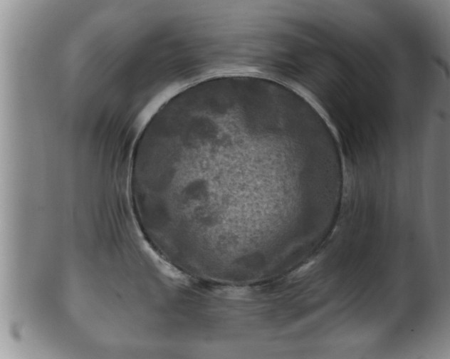 X0000100871245200806271105