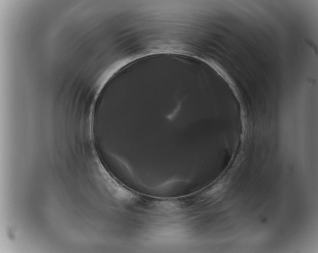 X0000100871246200806271105