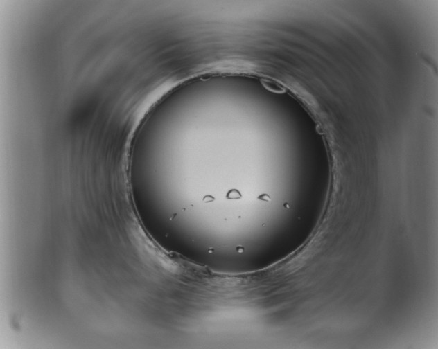 X0000100871248200806271105