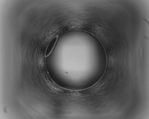 X0000100871250200806271104