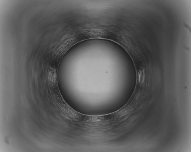 X0000100871251200806271104