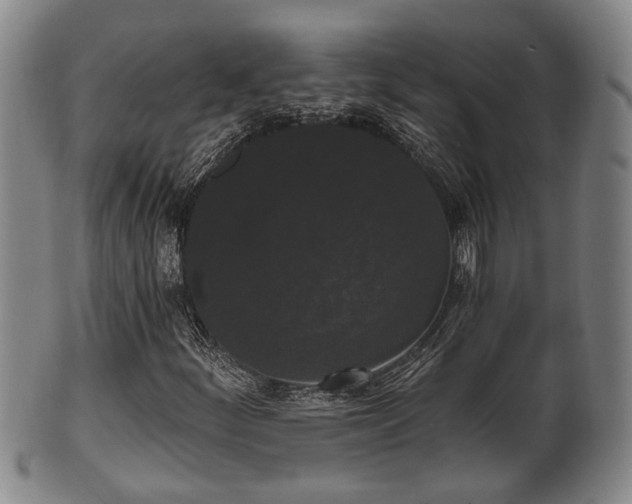 X0000100871252200806271104