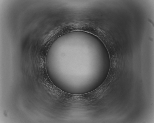 X0000100871253200806271104