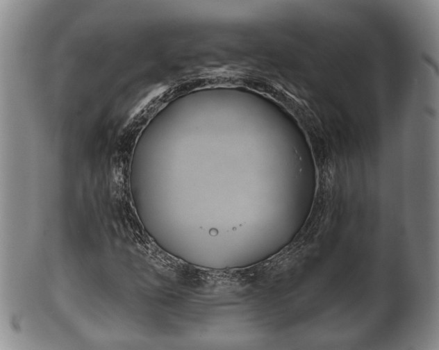 X0000100871254200806271104