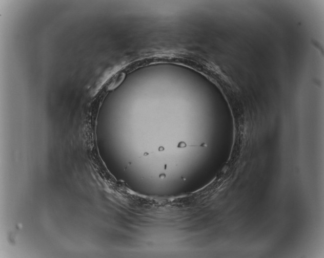 X0000100871256200806271104