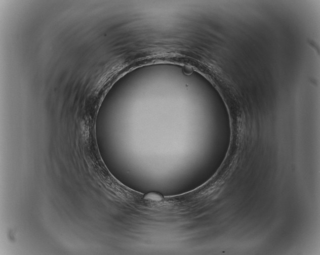 X0000100871257200806271104