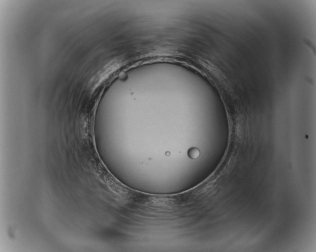 X0000100871258200806271104