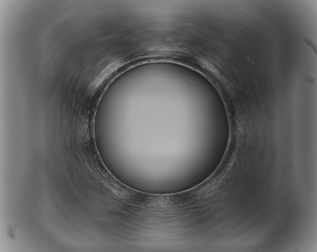 X0000100871259200806271104