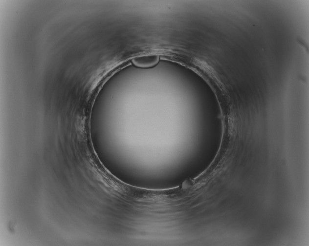 X0000100871260200806271104