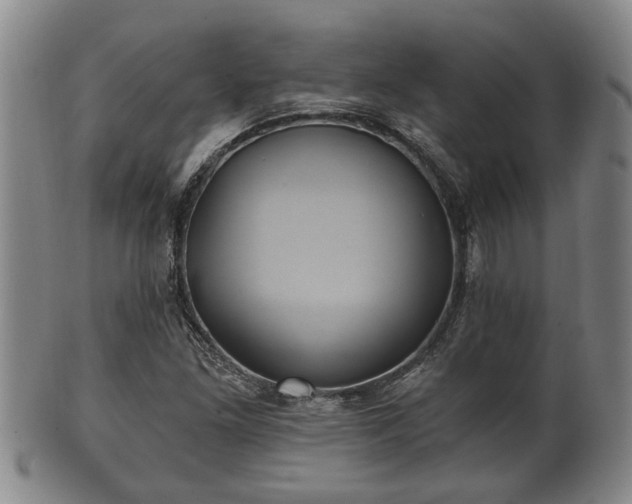 X0000100871261200806271104