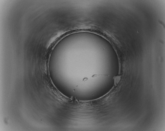 X0000100871262200806271104