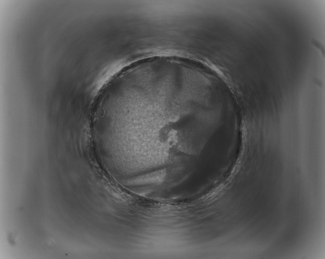 X0000100871263200806271104