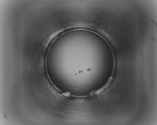 X0000100871264200806271104