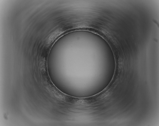 X0000100871265200806271104