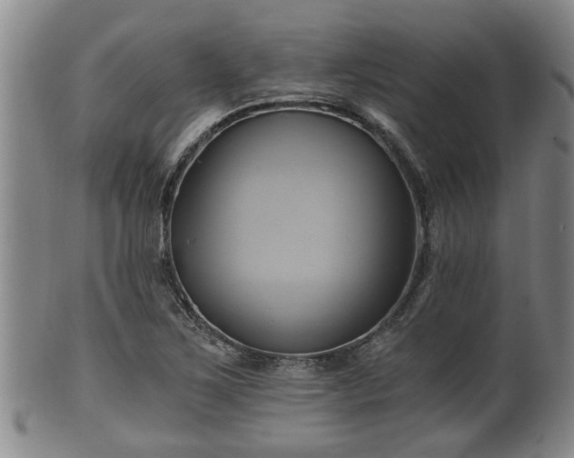 X0000100871267200806271104