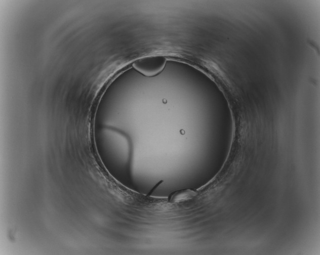 X0000100871268200806271104