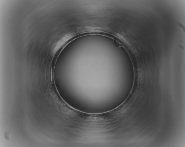 X0000100871269200806271104