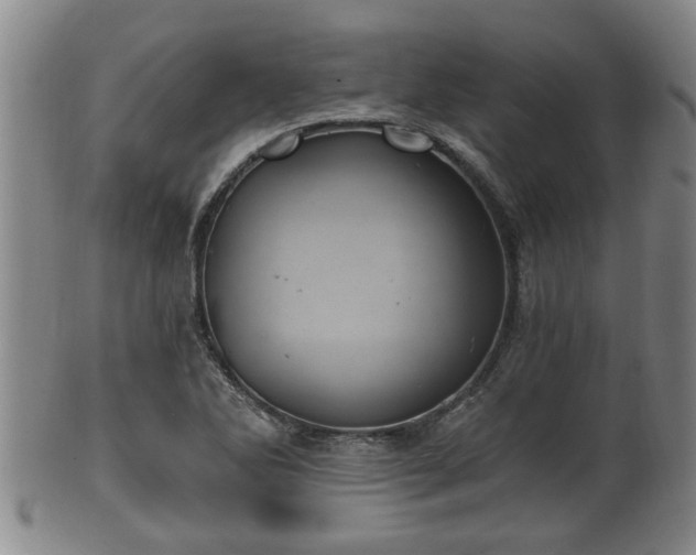 X0000100871270200806271104