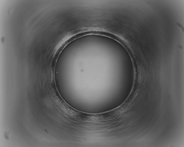 X0000100871271200806271104