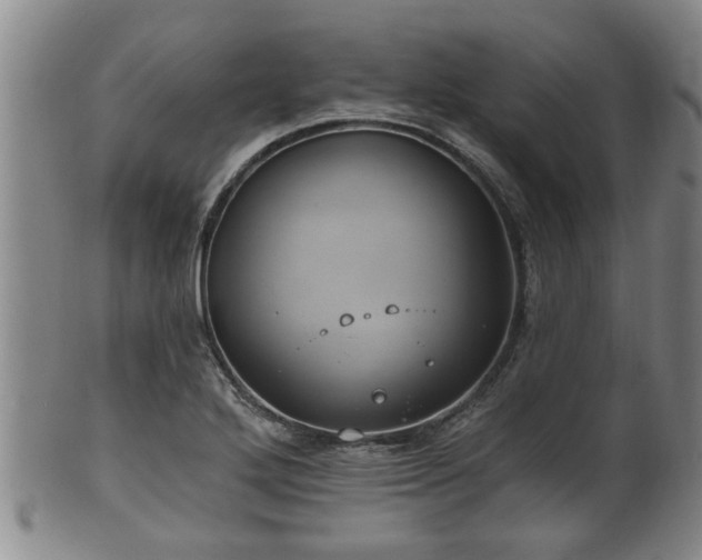 X0000100871272200806271104