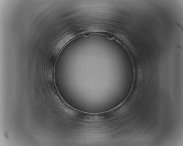 X0000100871273200806271104