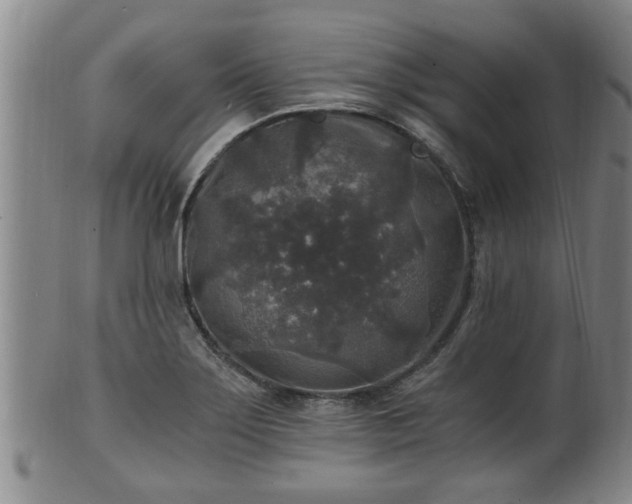 X0000100871275200806271104