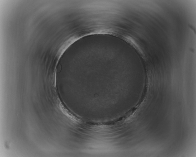 X0000100871276200806271104