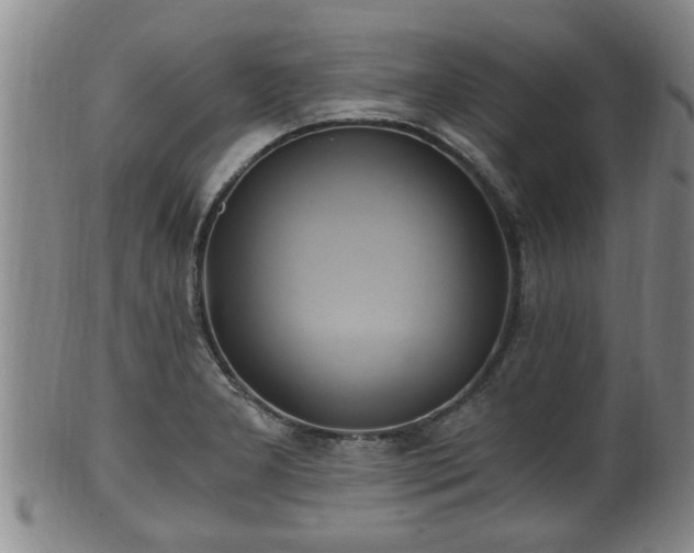 X0000100871277200806271104