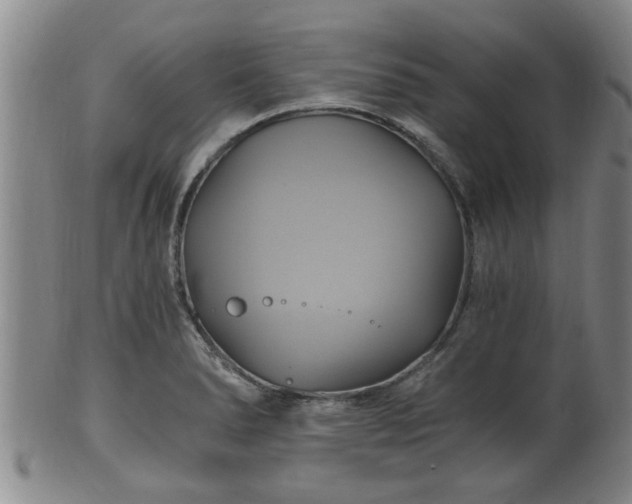 X0000100871278200806271104