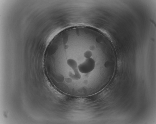 X0000100871279200806271103