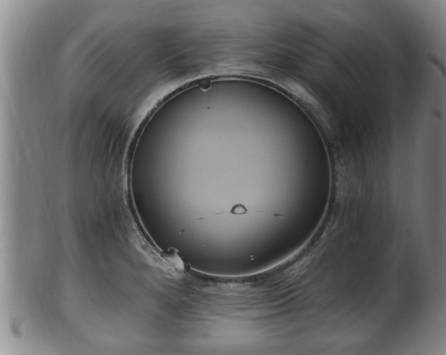 X0000100871280200806271103