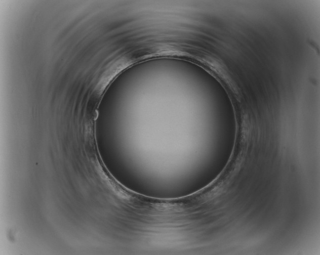 X0000100871281200806271103