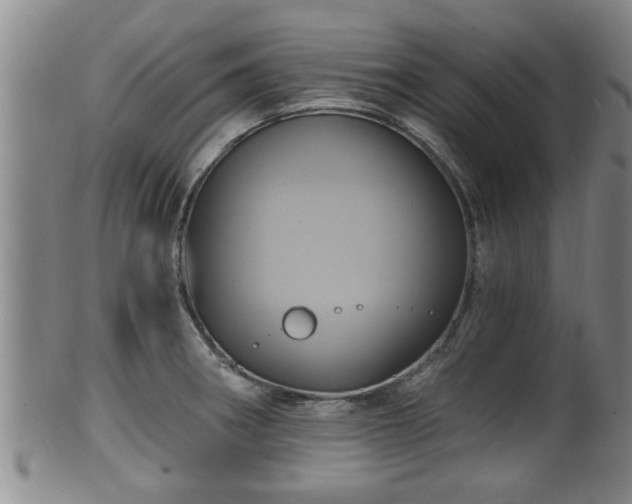 X0000100871282200806271103