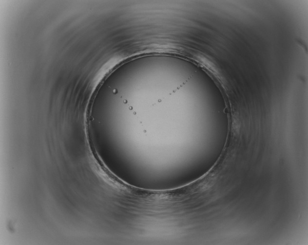 X0000100871283200806271103