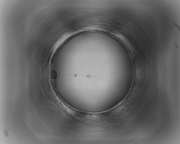 X0000100871286200806271103