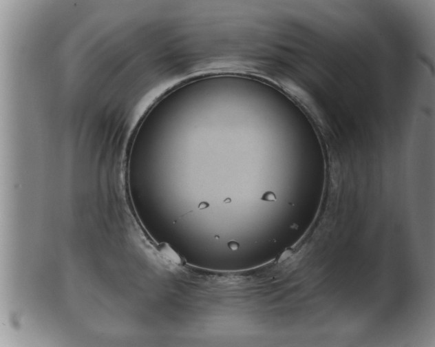 X0000100871288200806271103