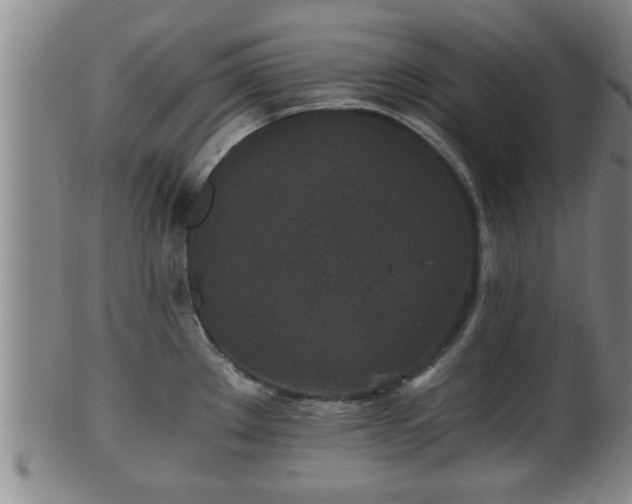 X0000100871289200806271103