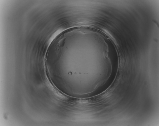 X0000100871291200806271103