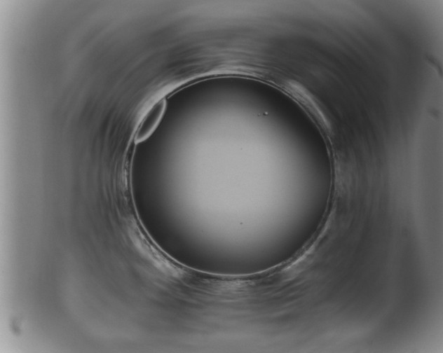 X0000100871292200806271103