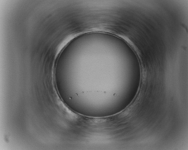 X0000100871294200806271103