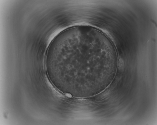 X0000100871295200806271103