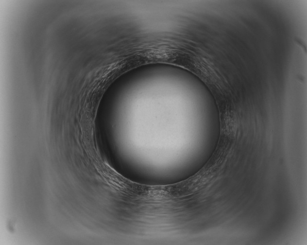 X0000100871297200806271102