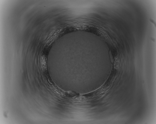 X0000100871298200806271102