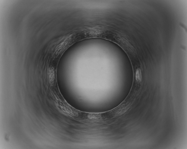 X0000100871299200806271102